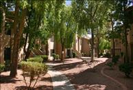 Acacia Creek - View