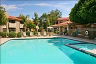 Acacia Creek - Swimming Pool