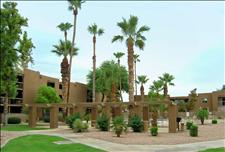 Phoenix - Scottsdale - Camellero - Community