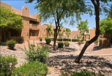 Phoenix - Tempe - Little Cottonwoods - Community