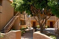 Little Cottonwoods - Community