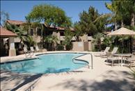 Phoenix - Ahwatukee - Mountain Park Ranch - Swimming Pool