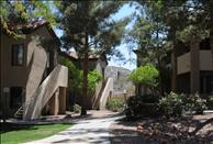 Phoenix - Ahwatukee - Mountain Park Ranch - Exterior