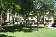 Phoenix - Ahwatukee - Sedona Ridge - Outdoor Area
