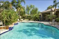 Phoenix - Ahwatukee - Sedona Ridge - Swimming Pool