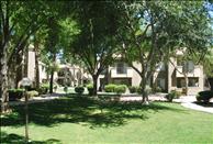 Phoenix - Ahwatukee - Sedona Ridge - Outdoor Area