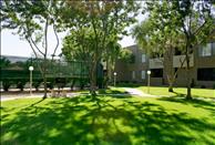 Sonoran - Outdoor Area