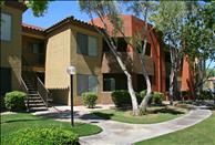 Phoenix - Ahwatukee - Sonoran - Community