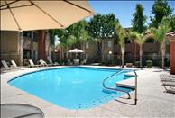 Phoenix - Ahwatukee - Sonoran - Swimming Pool