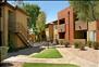 Sonoran Apartments - Community