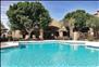 Strayhorse Apartments - Swimming Pool