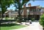 Sycamore Creek - Community