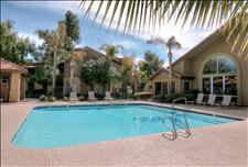 Phoenix - Ahwatukee - Village at Lakewood - Swimming Pool