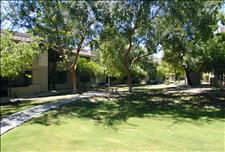 Phoenix - Ahwatukee - Village at Lakewood - Community