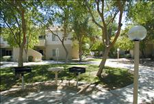 Phoenix - Ahwatukee - Village at Lakewood - Picnic Area