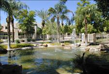 Phoenix - Ahwatukee - Village at Lakewood - Fountain