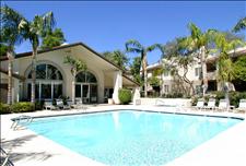 Phoenix - Ahwatukee - Village at Lakewood - Swimming Pool