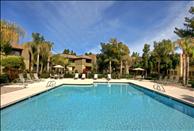 Phoenix - Ahwatukee - Village at Lakewood - Swimming Pool