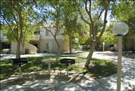 Village at Lakewood - Picnic Area