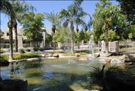Village at Lakewood - Fountain