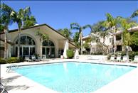 Village at Lakewood - Swimming Pool