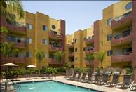 Los Angeles - North Hollywood - Academy Village - Swimming Pool