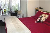 San Francisco Bay - Berkeley - Berkeley Apartments - Acton Courtyard - Bedroom