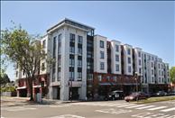 San Francisco Bay - Berkeley - Berkeley Apartments - Acton Courtyard - Exterior
