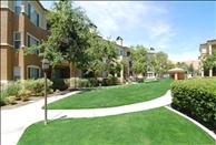 Alborada Apartments - Community