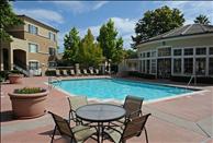 San Francisco Bay - Fremont - Alborada Apartments - Swimming Pool
