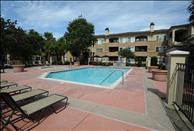 San Francisco Bay - Fremont - Alborada Apartments - Swimming Pool