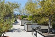 San Francisco Bay - Berkeley - Berkeley Apartments - ARTech - Roof Top