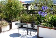 Berkeley Apartments - ARTech - Courtyard