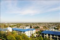 Bay Hill - Scenic View