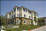 Bella Vista At Warner Ridge - Community