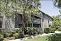 Briarwood-Sunnyvale Apartments