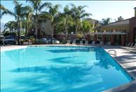 Centre Club - Swimming Pool