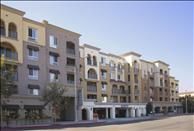 City Pointe - Community