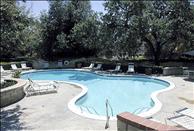 Los Angeles - Agoura Hills - Country Oaks - Swimming Pool