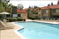 Los Angeles - Agoura Hills - Country Oaks - Swimming Pool
