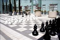 Berkeley Apartments - Fine Arts - Roof Top