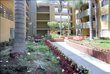Los Angeles - Koreatown - Hampshire Place - Common Area