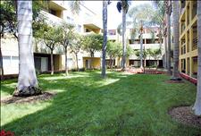 Los Angeles - Koreatown - Hampshire Place - Courtyard