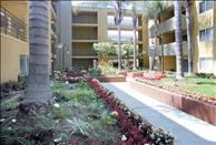 Los Angeles - Koreatown - Hampshire Place - Common Area
