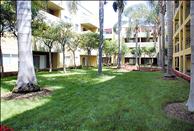 Los Angeles - Koreatown - Hampshire Place - Courtyard