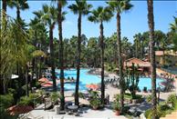San Diego - Mission Valley - La Mirage - Swimming Pool