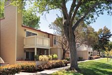 San Francisco Bay - Foster City - Lantern Cove - Exterior