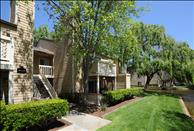 San Francisco Bay - Foster City - Lantern Cove - Exterior