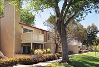 San Francisco Bay - Foster City - Lantern Cove - Exterior