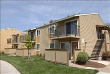 San Francisco Bay - Pleasant Hill - Iron Horse Park - Community